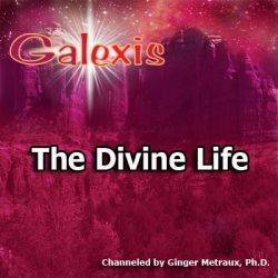 The Divine Life