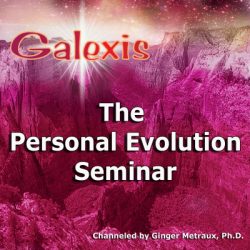 The Personal Evolution Seminar